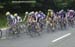 National Road Cycling Championships