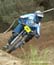 Sea Otter Day 5: Men's Pro DH