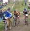 Sea Otter Day 4: Short Track