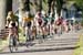 Brockton Criterium