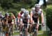 Brockton Criterium
