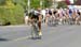 Tour de Whiterock: Stage 2