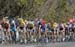 2003 World Cycling Championships - RR