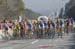 2003 World Cycling Championships - RR