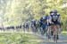 BC Cup #1 - Harris Roubaix Classic