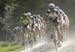 BC Cup #1 - Harris Roubaix Classic