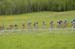 Salmon Arm Grand Prix RR