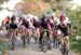 Vanier Park Cross Classic (October 23rd BC)