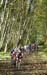 BC Provincial `Cross Championships (October 30th BC)