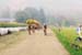 Fort Langley Cyclocross Classic