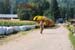 Fort Langley Cyclocross Classic