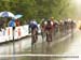 Tour Du Montreal