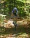 Octoberfest Cross