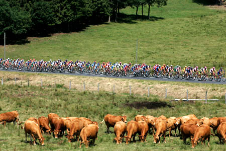Tour de France Stage 10