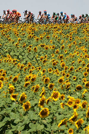 Tour de France Stage 12