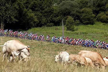 Tour de France Stage 13