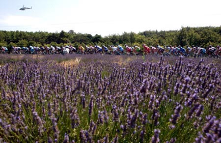 Tour de France - Stage 15