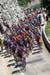 Tour de France Stage 17