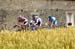 Tour de France Stage 8