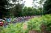 Tour de France Stage 9