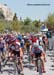 Olympic Men's Road Race