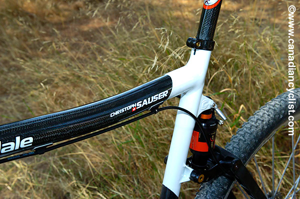 Olympics -MTB Training