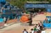 Olympics -Women's MTB