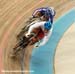 Olympics - Track Day 3