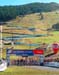 Livigno World Cup: Women's XC