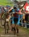 MTB World Championships: Men's XC