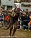 MTB World Championships: Men's XC