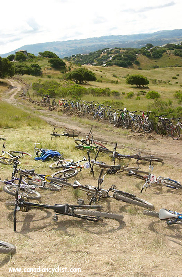 Sea Otter DH