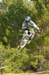 Sea Otter DH