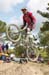 Sea Otter DH
