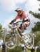Sea Otter DH