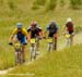 Sea Otter XC