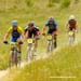Sea Otter XC