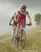 Sea Otter Classic
