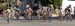 Tour de Delta Criterium
