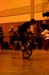 Toronto Bike Show