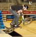 Toronto Bike Show
