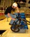 Toronto Bike Show