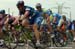 Tour de Langkawi 2004