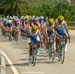 Tour de Langkawi 2004 - Stage 8