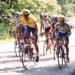 Tour de `Toona