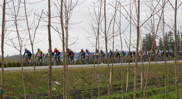 Harris Roubaix BC