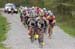Harris Roubaix BC