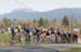 Team Escape Velocity: Spring Series