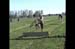 Mike Rabe Memorial Cup