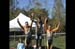 Mike Rabe Memorial Cup